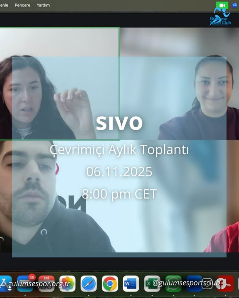 Monthly online meeting of the SIVO project was held